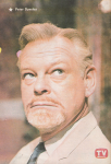 A TV Guide Appearance